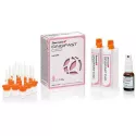 Gingifast Cad Rigid Coffret - Zhermack