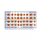 Coffret Preform Al Dente 144Pcs - Al Dente - 04-557