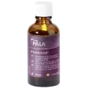 Palabond (45Ml) - Kulzer