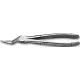 Davier Adultes N°51Lx Mors Quadrilles Kent Dental - 16-147