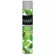 Boldair Parfumes Aerosol - Menthe - 53-262