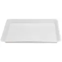 Plat. Jet.15X20Cm Ss Comp. Stries (400) - Le carton de 400 plateaux- Dental Market