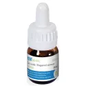 Recharge Eugenol Flacon Kd (20Ml) - Kent Dental