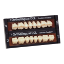 SR ORTHOLINGUAL DCL